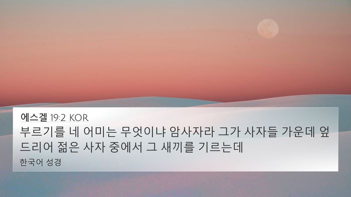 에스겔 19:2 KOR Bible Verse Image
