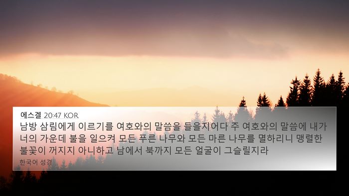 에스겔 20:47 KOR Bible Verse Image