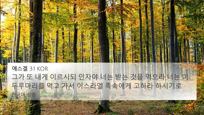 에스겔 3:1 KOR Bible Verse Image
