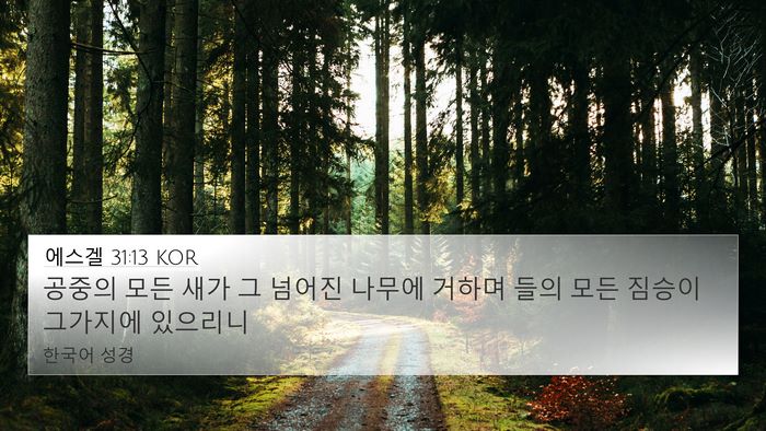 에스겔 31:13 KOR 4K Wallpaper - 공중의 모든 새가 그 넘어진 나무에 - 4K Wallpaper Bible Verse