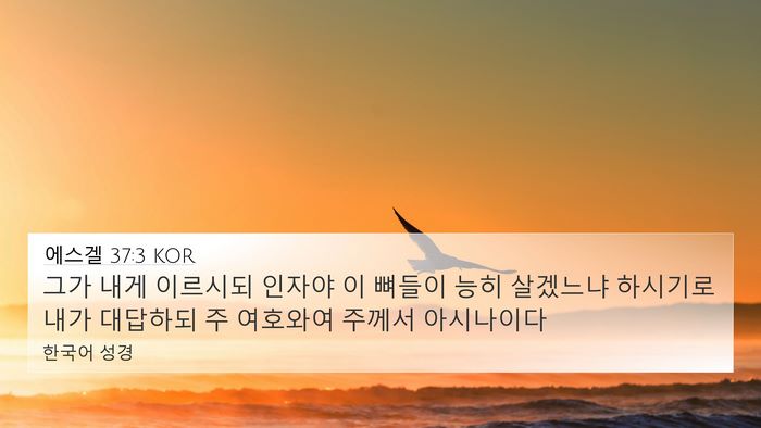 에스겔 37:3 KOR Bible Verse Image