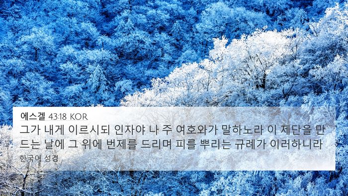 에스겔 43:18 KOR Bible Verse Image