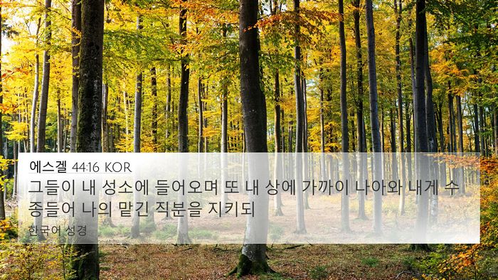 에스겔 44:16 KOR Bible Verse Image