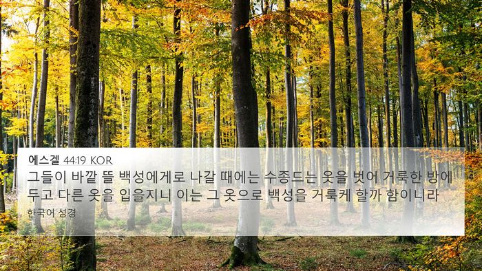 에스겔 44:19 KOR Bible Verse Image