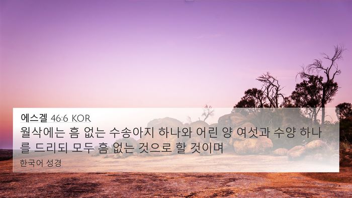에스겔 46:6 KOR Bible Verse Image