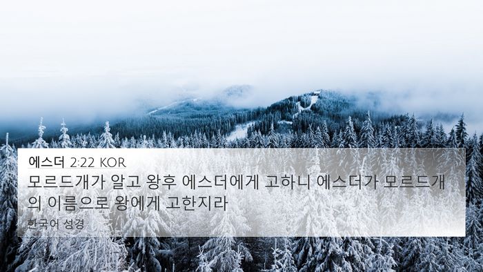 에스더 2:22 KOR 4K Wallpaper - 모르드개가 알고 왕후 에스더에게 - 4K Wallpaper Bible Verse