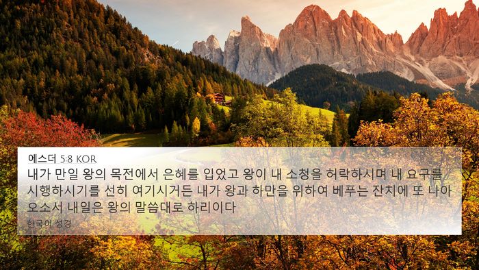 에스더 5:8 KOR Bible Verse Image