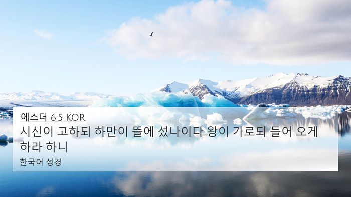 에스더 6:5 KOR 4K Wallpaper - 시신이 고하되 하만이 뜰에 섰나이다 - 4K Wallpaper Bible Verse