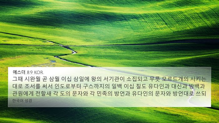에스더 8:9 KOR Bible Verse Image