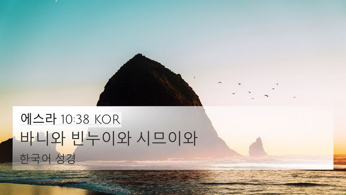 에스라 10:38 KOR 4K Wallpaper - 바니와 빈누이와 - 4K Wallpaper Bible Verse