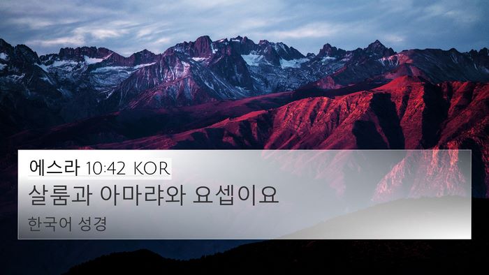 에스라 10:42 KOR 4K Wallpaper - 살룸과 아마랴와 - 4K Wallpaper Bible Verse