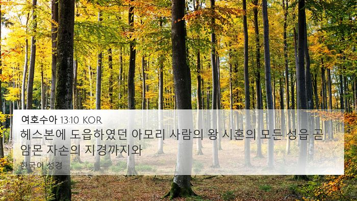 여호수아 13:10 KOR Bible Verse Image