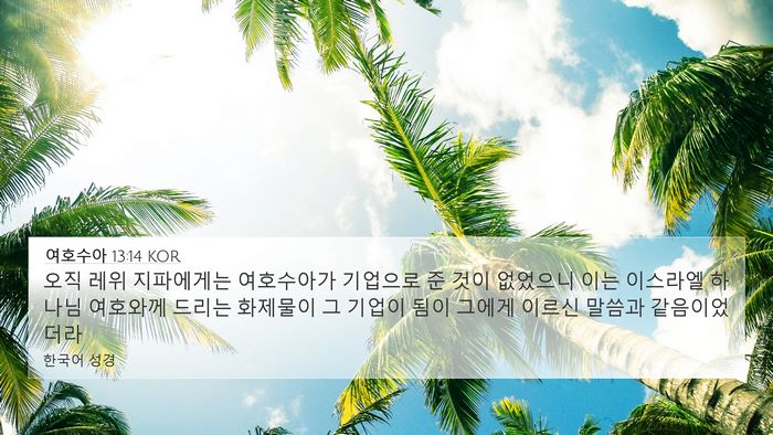여호수아 13:14 KOR Bible Verse Image