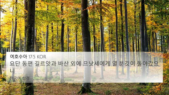여호수아 17:5 KOR 4K Wallpaper - 요단 동편 길르앗과 바산 외에 - 4K Wallpaper Bible Verse