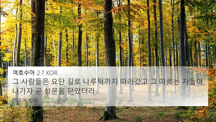 여호수아 2:7 KOR 4K Wallpaper - 그 사람들은 요단 길로 나루턱까지 - 4K Wallpaper Bible Verse