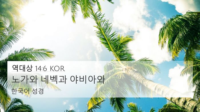 역대상 14:6 KOR 4K Wallpaper - 노가와 네벡과 - 4K Wallpaper Bible Verse