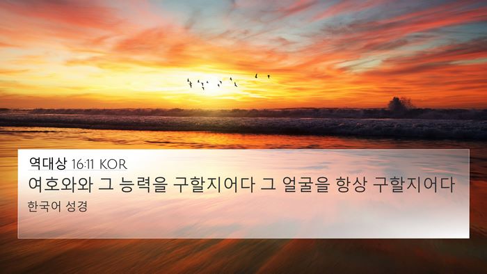 역대상 16:11 KOR Bible Verse Image
