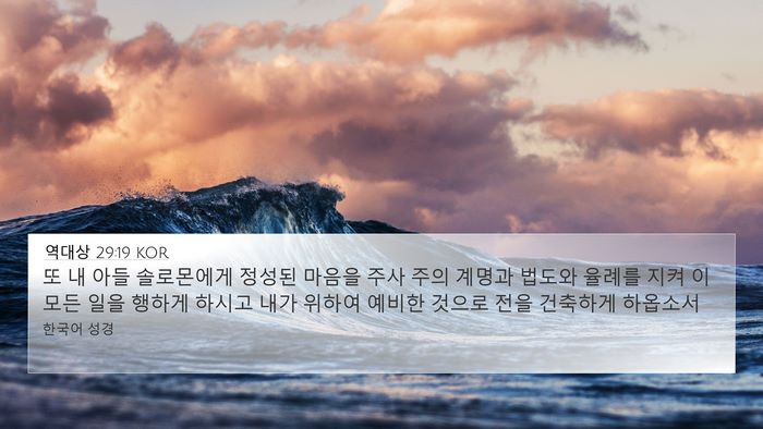 역대상 29:19 KOR Bible Verse Image