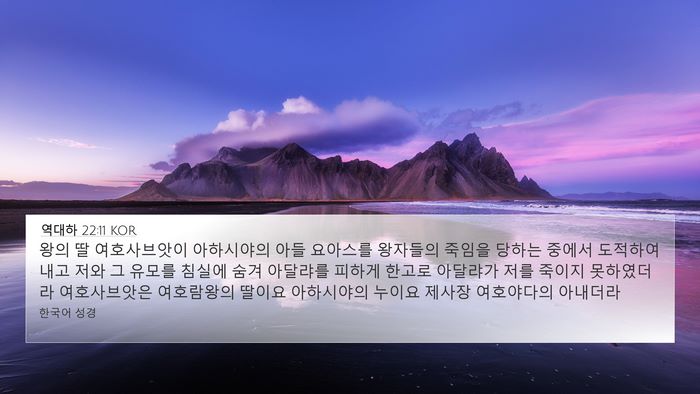역대하 22:11 KOR Bible Verse Image