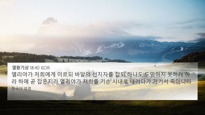 열왕기상 18:40 KOR Bible Verse Image