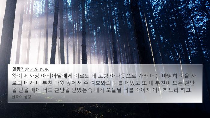 열왕기상 2:26 KOR Bible Verse Image