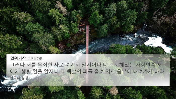 열왕기상 2:9 KOR Bible Verse Image