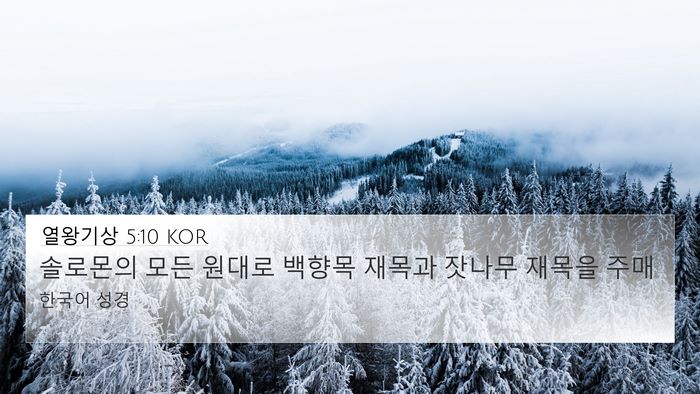 열왕기상 5:10 KOR 4K Wallpaper - 솔로몬의 모든 원대로 백향목 재목과 - 4K Wallpaper Bible Verse
