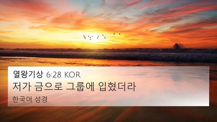 열왕기상 6:28 KOR 4K Wallpaper - 저가 금으로 그룹에 - 4K Wallpaper Bible Verse