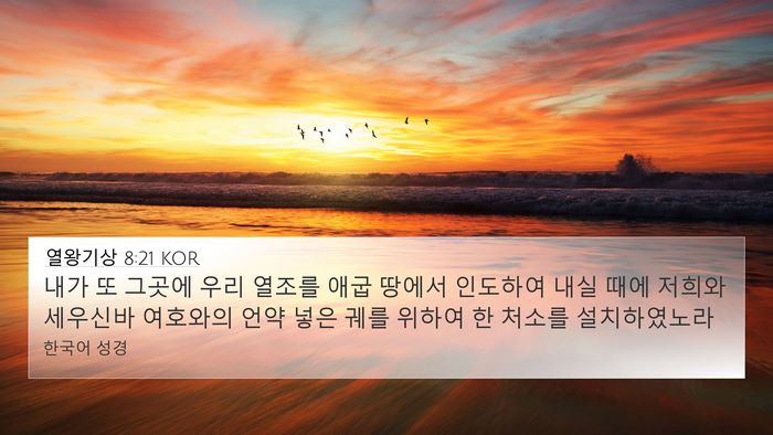 열왕기상 8:21 KOR Bible Verse Image