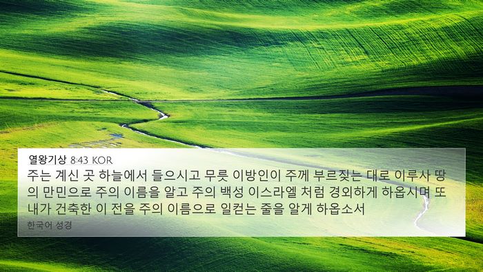 열왕기상 8:43 KOR Bible Verse Image