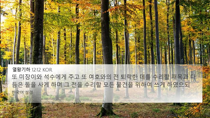 열왕기하 12:12 KOR Bible Verse Image