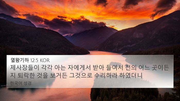 열왕기하 12:5 KOR 4K Wallpaper - 제사장들이 각각 아는 자에게서 받아 - 4K Wallpaper Bible Verse