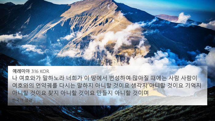예레미야 3:16 KOR Bible Verse Image