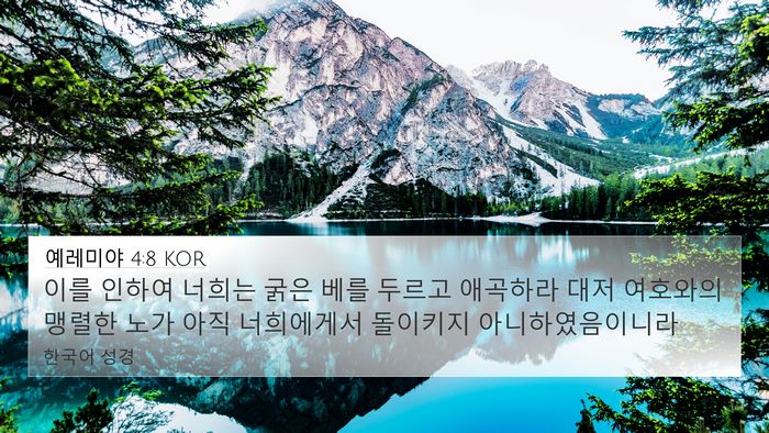 예레미야 4:8 KOR Bible Verse Image