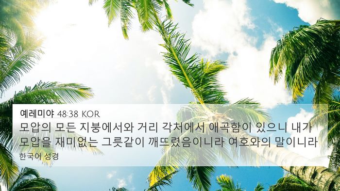 예레미야 48:38 KOR Bible Verse Image