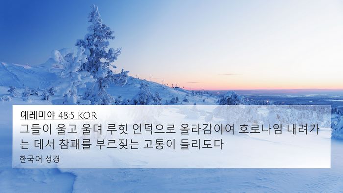 예레미야 48:5 KOR Bible Verse Image