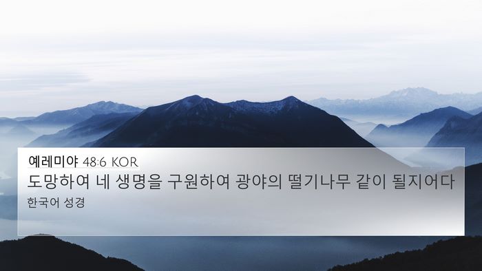 예레미야 48:6 KOR Bible Verse Image
