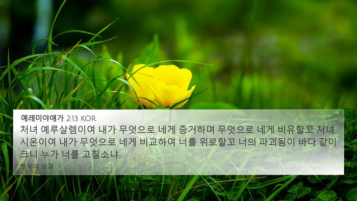예레미야애가 2:13 KOR Bible Verse Image