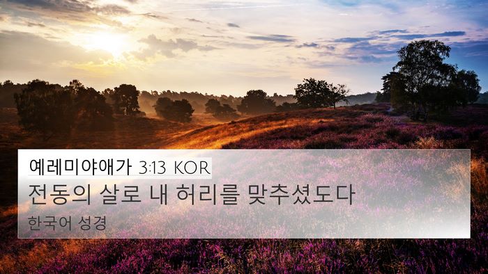 예레미야애가 3:13 KOR 4K Wallpaper - 전동의 살로 내 허리를 - 4K Wallpaper Bible Verse