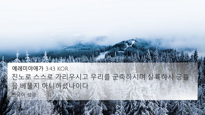 예레미야애가 3:43 KOR Bible Verse Image