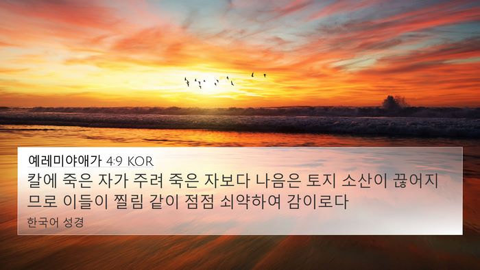 예레미야애가 4:9 KOR Bible Verse Image