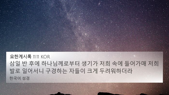 요한계시록 11:11 KOR Bible Verse Image