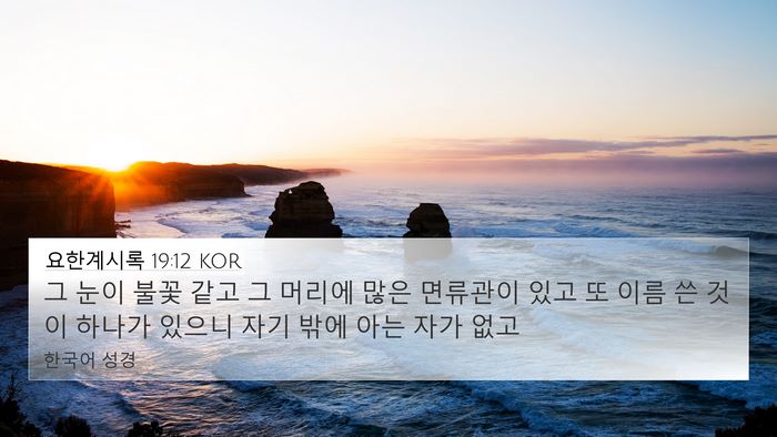 요한계시록 19:12 KOR Bible Verse Image