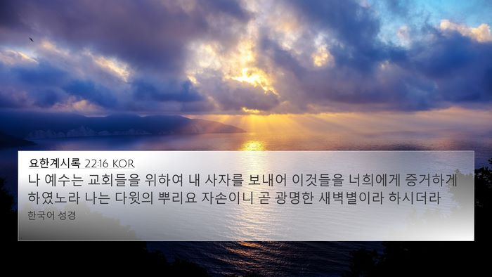 요한계시록 22:16 KOR Bible Verse Image