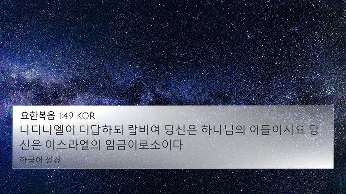 요한복음 1:49 KOR Bible Verse Image