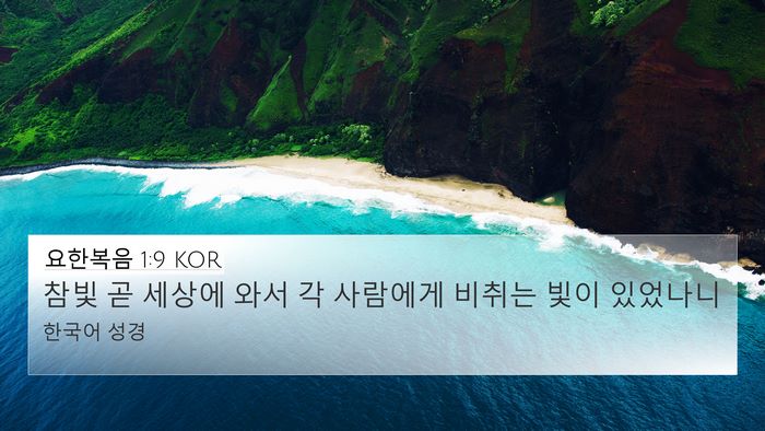 요한복음 1:9 KOR Bible Verse Image