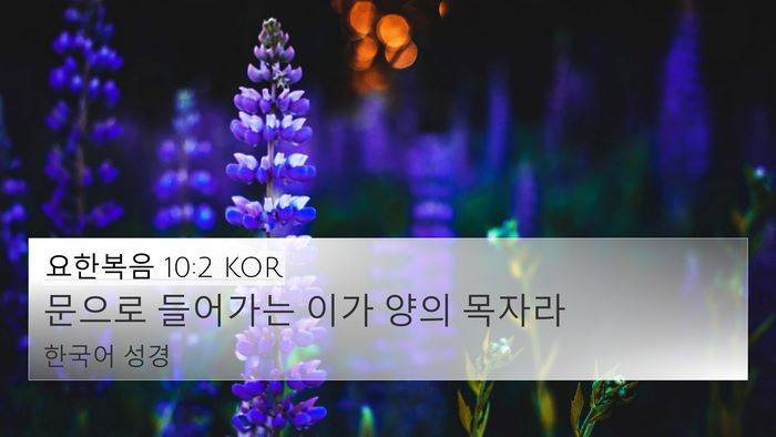 요한복음 10:2 KOR 4K Wallpaper - 문으로 들어가는 이가 양의 - 4K Wallpaper Bible Verse