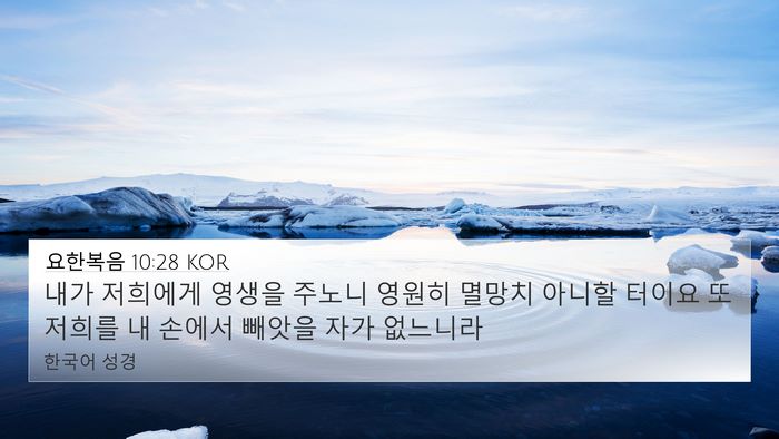 요한복음 10:28 KOR Bible Verse Image