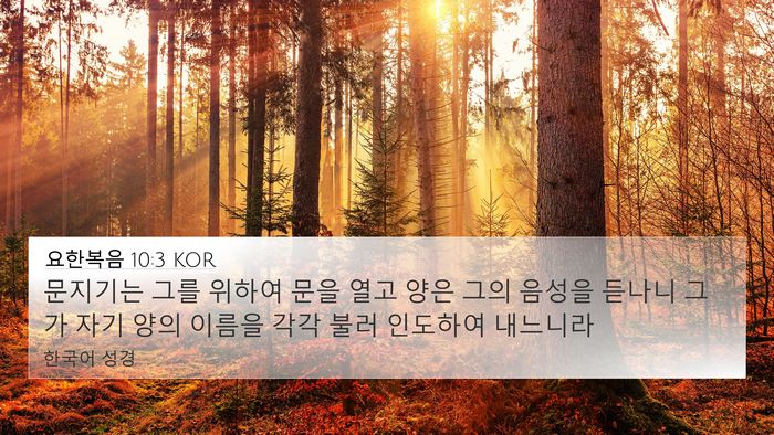 요한복음 10:3 KOR Bible Verse Image