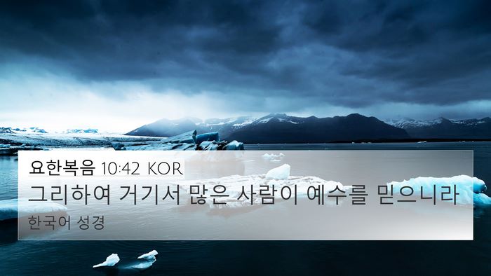 요한복음 10:42 KOR Bible Verse Image
